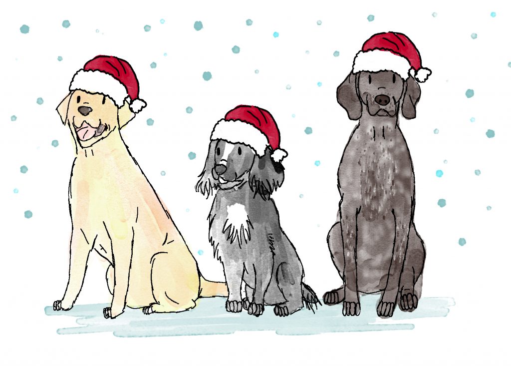 Christmas with dogs