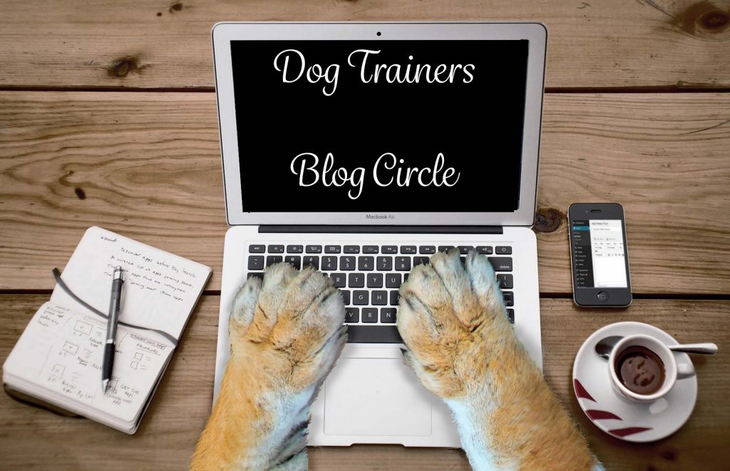 Dog training blog