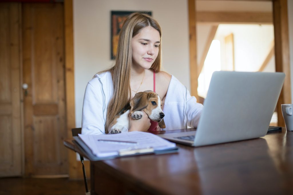 work from home with your pet