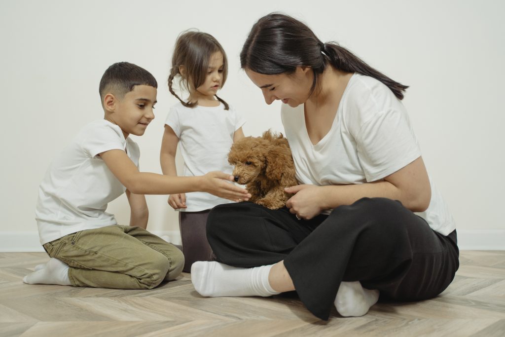 choosing a puppy for your family