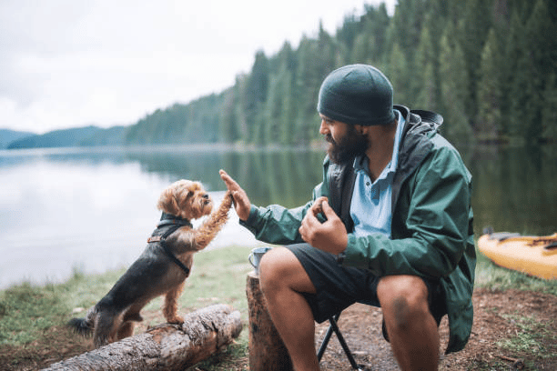 bond with your dog